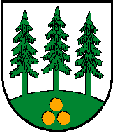 Gemeinde Wald im Pinzgau