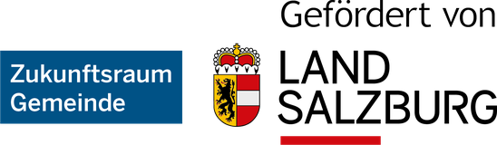 Zukunftsraum Gemeinde Salzburg